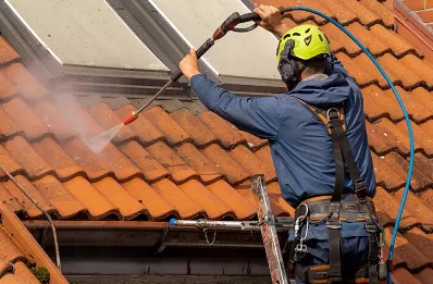 Démoussage et hydrofuge de toiture à Magnien